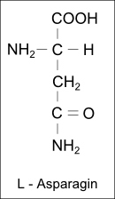 Strukturformel L-Asparagin