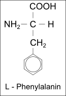 Strukturformel L-Phenylalanin